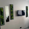 Backlit green moss art panels in black frames mounted beside a vertical mirror and TV on a light wall.