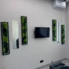 Backlit moss wall art panels in black frames and tall mirrors flanking a wall-mounted TV in a modern room.