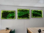 Moss Picture Set with Lighting