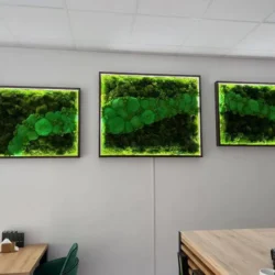 Moss Picture Set with Lighting
