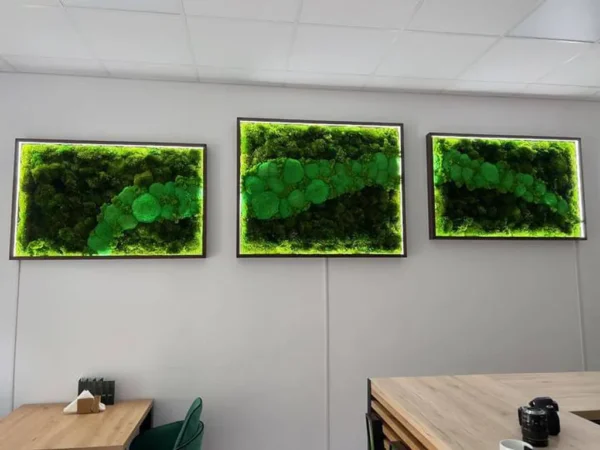 Custom Illuminated Moss Picture - Image 5