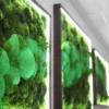 Side view of three illuminated green bun moss wall art panels mounted in dark frames along a white wall.