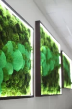 Moss Picture Set with Lighting - Image 2