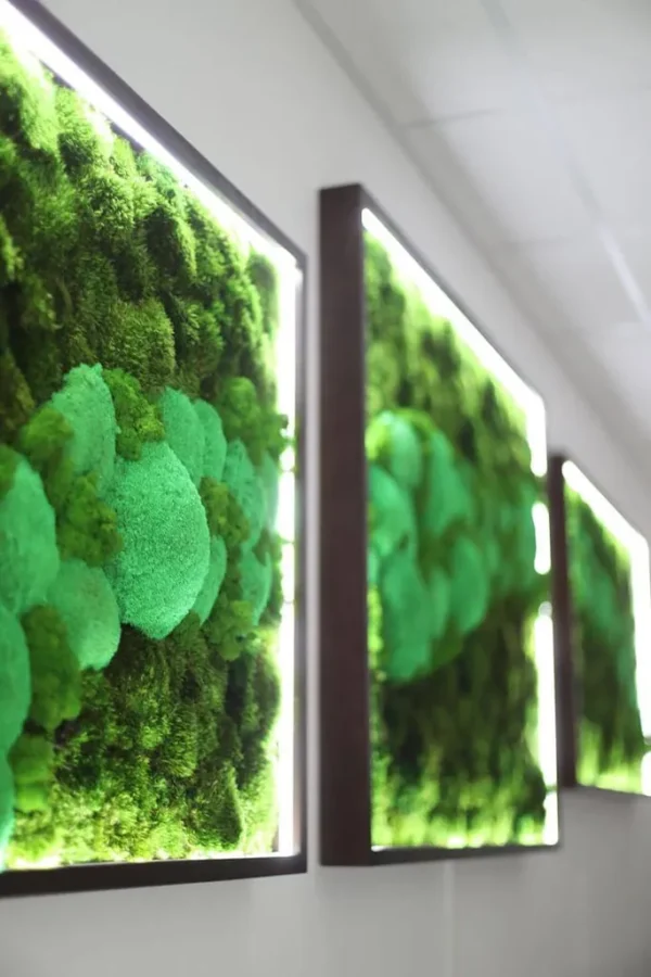 Moss Picture Set with Lighting - Image 2