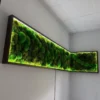 Rectangular LED-backlit moss wall art panels mounted along an interior corner with textured green moss and dark frames.