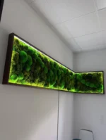 Moss Wall Art with Cushion Moss and LED Lighting - Image 4