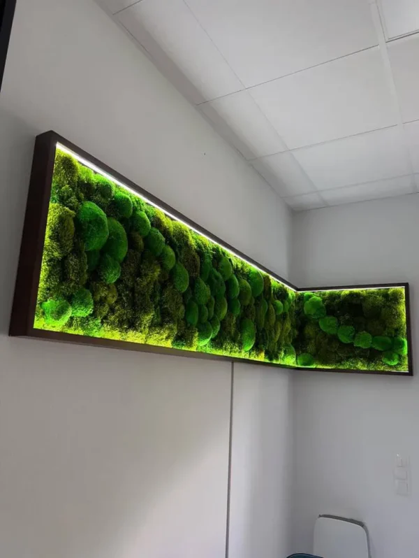 Moss Wall Art with Cushion Moss and LED Lighting - Image 4