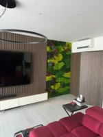 Moss Wall Price Calculator – Calculate Custom-Sized Moss Wall Online - Image 3