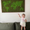 photo_2024-11-21_17-23-43_result.webp Framed reindeer moss world map on a wall above a couch, with a young girl pointing toward the art.
