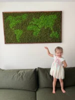Framed World Map Made of Iceland Moss - Image 4