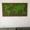 photo_2024-11-21_17-23-50_result.webp Framed reindeer moss world map with light green continents in a dark wood frame, hung on a white wall above a sofa.
