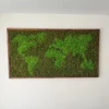 photo_2024-11-21_17-23_result.webp Framed reindeer moss world map wall art mounted on an interior wall