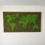 Framed World Map Made of Iceland Moss