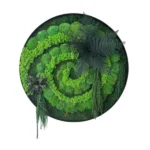 Moss Wall Art – Natural Vortex