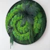 Round green moss wall art with spiral pattern, fern foliage, and black frame mounted on white wall