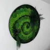 Round moss wall art with green spiral moss, preserved ferns, and trailing greenery in a black frame on a white wall