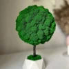 Decorative topiary tree with preserved moss canopy and wooden trunk set in a geometric pot