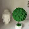 Green moss ball topiary tree in white faceted pot beside white Buddha head statue