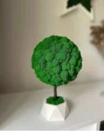 Decorative Tree with Moss and Natural Wood - Image 2