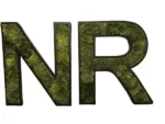 Wooden Logo with Moss - Image 9