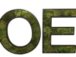 Wooden Logo with Moss - Image 10