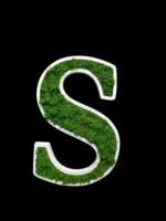 Wooden Logo with Moss - Image 11