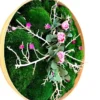 Angled view of round wall art with green moss, pink roses, white branches, and eucalyptus in a natural wood frame