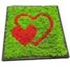 Preserved moss wall art featuring two interlocking hearts set in a square wooden frame.
