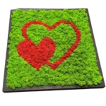 Moss Wall Art Heart – 2 Hearts Made of Iceland Moss