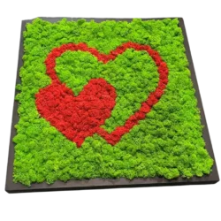 Moss Wall Art Heart – 2 Hearts Made of Iceland Moss