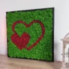 Square reindeer moss wall art in black frame with red double heart design on green moss background.