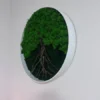 Angled view of round green moss wall art with tree branches mounted on a white wall in a white frame