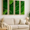 Four vertical green moss wall art panels with driftwood in natural wood frames hung above a beige sofa
