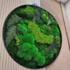 Close-up of circular moss wall art with textured ball moss, reindeer moss, and dark fern leaves in a slim black frame.