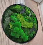 Real Moss Wall Art: Round with Moss & Fern - Image 3