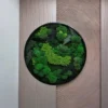 Round moss and fern wall art with varied green textures in a black frame mounted on a modern fluted wood accent wall.