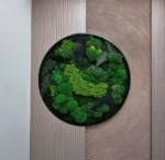 Real Moss Wall Art: Round with Moss & Fern - Image 4