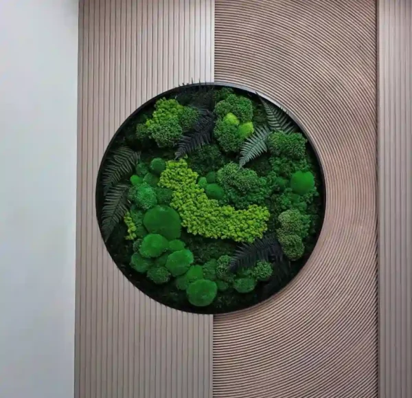 Real Moss Wall Art: Round with Moss & Fern - Image 4