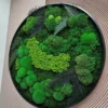 Angled view of round moss wall art with mixed green moss and fern fronds in a black frame on a textured wall panel.