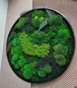 Real Moss Wall Art: Round with Moss & Fern - Image 2