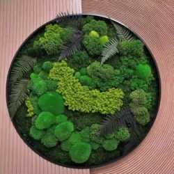 Real Moss Wall Art: Round with Moss & Fern