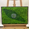 Preserved moss wall art featuring textured eye design in rectangular frame resting on wooden easel