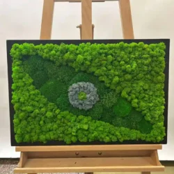 Green Moss Eye: Moss Wall Art