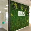 Preserved green moss wall featuring 3D white BDO logo and foliage accents in an office interior.