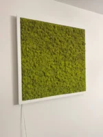 Moss Wall Art with Reindeer Moss and LED Lighting - Image 7