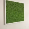 Square green reindeer moss wall art in a white frame mounted on a white wall