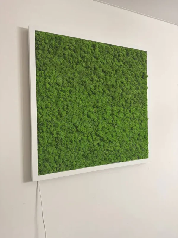 Moss Wall Art with Reindeer Moss and LED Lighting - Image 13