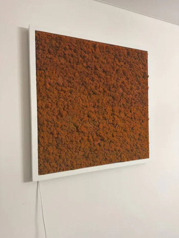 Moss Wall Art with Reindeer Moss and LED Lighting - Image 14