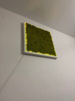 Moss Wall Art with Reindeer Moss and LED Lighting - Image 8