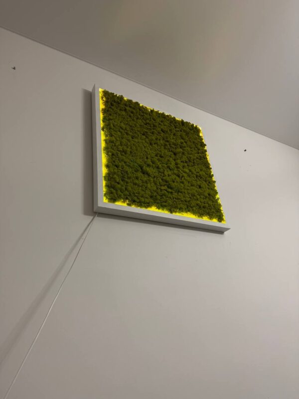 Moss Wall Art with Reindeer Moss and LED Lighting - Image 8